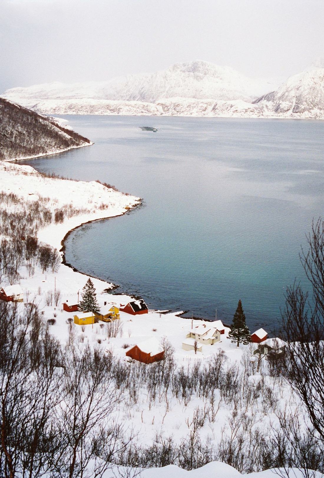 En snoedekt kystbygd ved en rolig fjord
