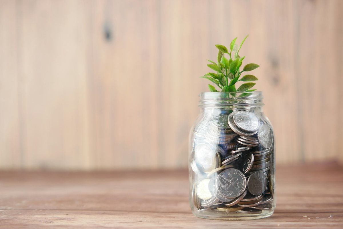 Glasskrukke med mynter og en liten plante